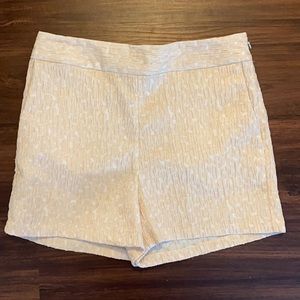 Express shorts